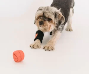 Bounce Ball Launcher Kit
