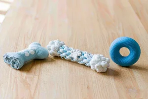 Dog chew toys at different firmness levels with a worn chew