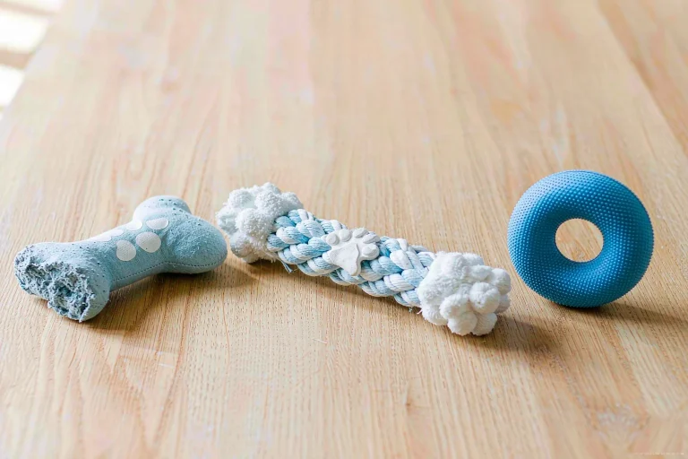 Dog chew toys at different firmness levels with a worn chew