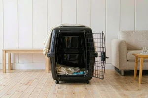 A hard-shell pet crate with its door open in a bright living room