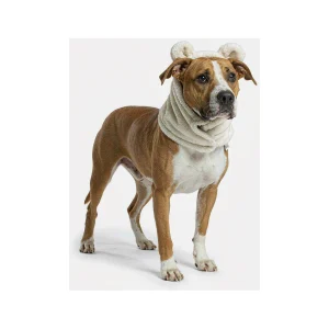Bear-Ear fleece hood for dogs in cream shearling