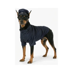 Ranger Duty four-piece dog uniform with jacket cap badge and collar