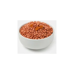 Salmon and pumpkin grain-free dog kibble in a white bowl